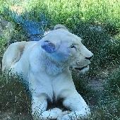 2021-06-17 ZOO Hodonn